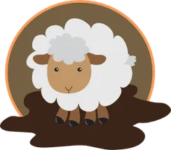 Schapen