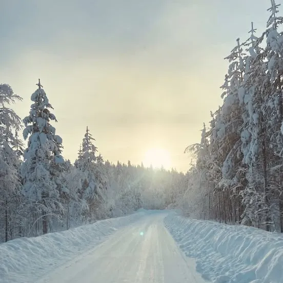 633444555_1496298935716128_7740038602436383034_n