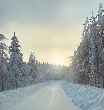 633444555_1496298935716128_7740038602436383034_n