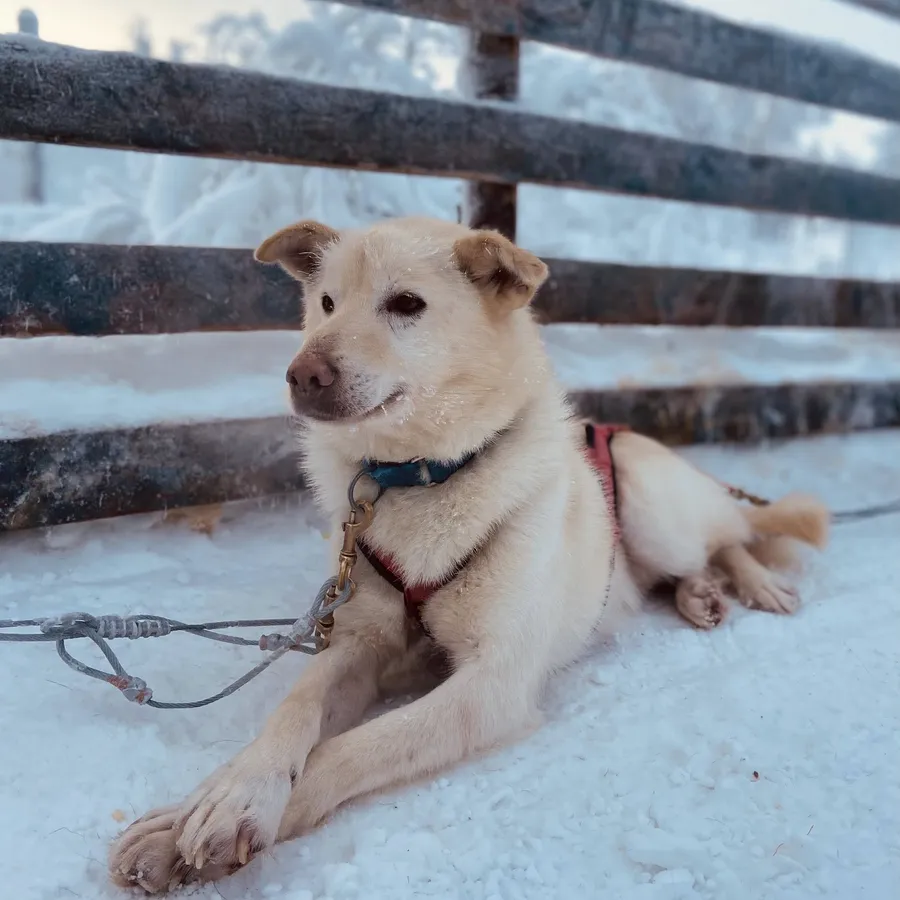 634729761_1496299052382783_3561234039980044884_n